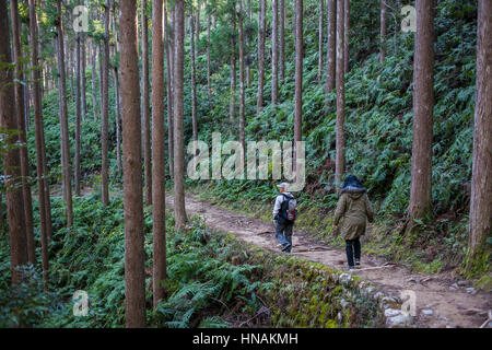 Pellegrini in Kumano Kodo vicino Kumano Hongu Taisha grand Santuario, Nakahechi percorso, Wakayama, Kinki, Giappone Foto Stock