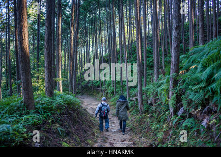 Pellegrini in Kumano Kodo vicino Kumano Hongu Taisha grand Santuario, Nakahechi percorso, Wakayama, Kinki, Giappone Foto Stock