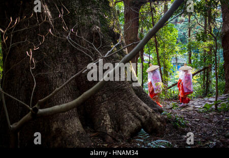 Pellegrini nel periodo Heian costumi, in Daimon-zaka Slope, accesso a Kumano Nachi Taisha Grand Shire, Kumano Kodo,Nakahechi percorso, Wakayama, Kinki, Japa Foto Stock