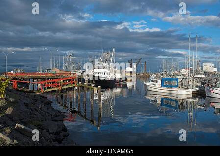 La occupato metà-isola il porto di pesca di Francese Creek sull'Isola di Vancouver, BC Canada. Foto Stock