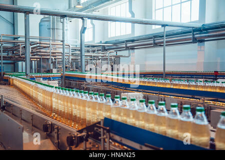 Bottiglie di birra sul nastro trasportatore. Birreria. Foto Stock