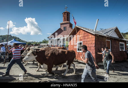 Minga in Chiloé, Cile. Liucura, isola di Lemuy, Arcipelago di Chiloé. Testimonianza della cultura che ancora persiste in alcuni luoghi distanti del Cile. Foto Stock