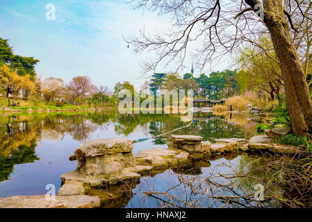 La natura del Lago Xuanwu in Nanjing Foto Stock