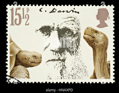 Regno Unito - circa 1981: Un British usato francobollo dedicato a Charles Darwin teoria dell evoluzione e tartarughe giganti Foto Stock
