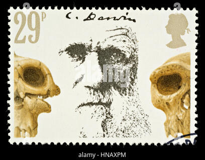 Regno Unito - circa 1981: Un British usato francobollo dedicato a Charles Darwin teoria dell evoluzione e di teschi Foto Stock