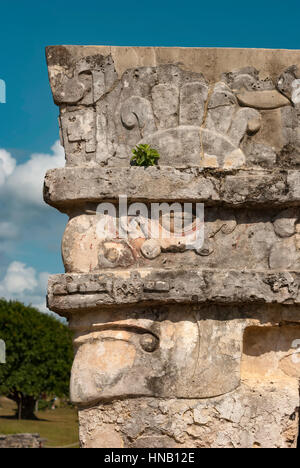 Maschera di Eagle - dettagli architettonici delle rovine Maya di Tulum in Messico Foto Stock