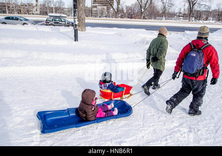 Montreal, QC, Canada - 14 gennaio 2012. Due papà della slitta di trazione sulla neve, dopo la tempesta di neve, vicino Mont-Royal. Foto Stock