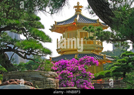 Hong Kong Cina, 03 Dicembre 2006: Chi Lin monastero nella città di Hong Kong Foto Stock