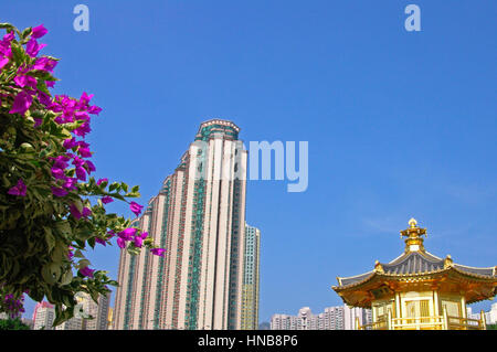 Hong Kong Cina, 03 Dicembre 2006: Chi Lin monastero nella città di Hong Kong Foto Stock