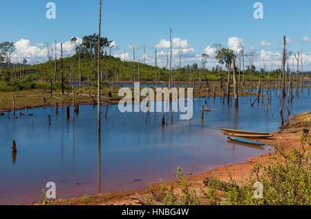 Gli alberi morti in piedi di Nam Theun 2 serbatoio dam, Laos Foto Stock