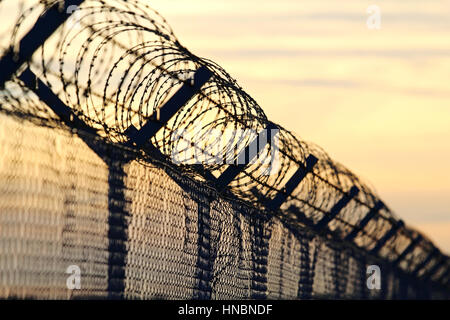 Filo spinato da parete in acciaio contro le immigrazioni in europa Foto Stock