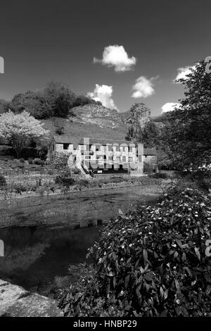 Fiume Yeo sotto le scogliere calcaree di Cheddar Gorge, Mendip Hills, Contea di Somerset, Inghilterra, Regno Unito Foto Stock