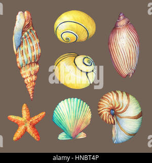 Set di vita subacquea oggetti - illustrazioni delle varie conchiglie tropicali e stelle marine. Disegnata a mano di pittura ad acquerello su sfondo marrone. Foto Stock