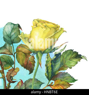 Un singolo di beautiful Golden rosa gialla con foglie verdi. Disegnata a mano di pittura ad acquerello su sfondo bianco. Foto Stock