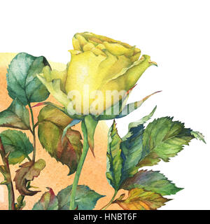 Un singolo di beautiful Golden rosa gialla con foglie verdi. Disegnata a mano di pittura ad acquerello su sfondo bianco. Foto Stock