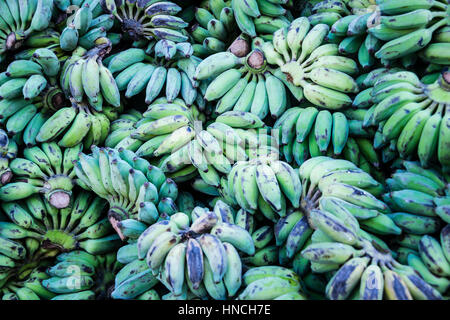 Molti green banane acerbe, Yangon, Myanmar Foto Stock