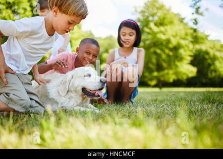 Amante degli animali bambini cane nel parco in estate e giocare Foto Stock