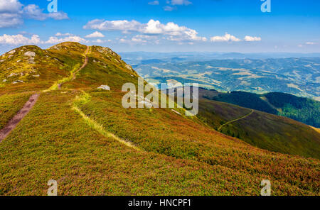 Strada tortuosa attraverso grandi prati sul pendio della montagna dei Carpazi gamma Foto Stock