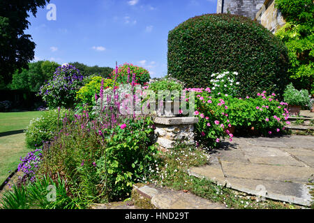 Colorata terrazza con Pelargoniums, Lythrums e Clematis Foto Stock