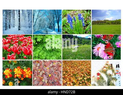 Bianco con dodici diverse immagini colorate della natura per il calendario Foto Stock