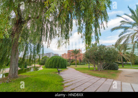 Valencia parco urbano. Willow Tree parzialmente oscura la vista del paesaggio urbano. Skyline come visto dal parco accanto al Museo delle Arti e delle Scienze. Foto Stock