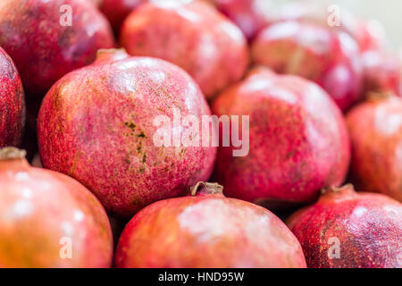 Macro closeup di molti melagrane sul display Foto Stock