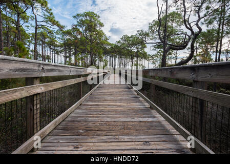 Passerella in legno su Marsh al St George Island Foto Stock