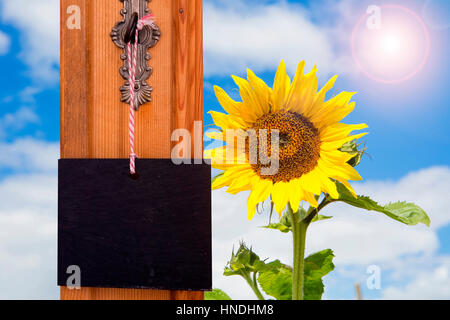 Piccolo blackboard appeso dal tasto nella parte anteriore del giallo girasole Foto Stock