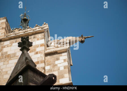 Doccioni sulle pareti della cattedrale di Barcellona. Foto Stock