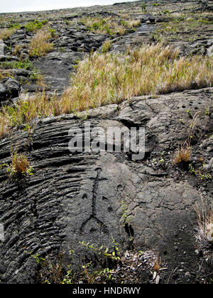 Petroglifi hawaiani presso Pu'u0a nel Parco Nazionale dei Vulcani. Foto Stock