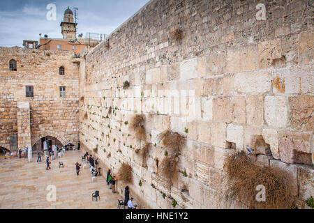 Parete ovest, il Muro del Pianto, panoramica, townscape, il quartiere ebraico e la Città Vecchia di Gerusalemme, Israele. Foto Stock
