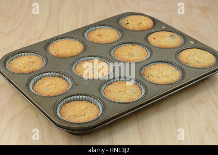 Cotta orange muffin ai mirtilli in teglia Foto Stock