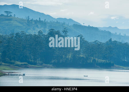 Canoa sul serbatoio Castlereagh, Hatton, Sri Lanka Foto Stock