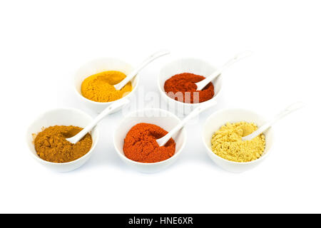 Tazze in porcellana e cucchiai con varie spezie di stagionatura isolati su sfondo bianco Foto Stock