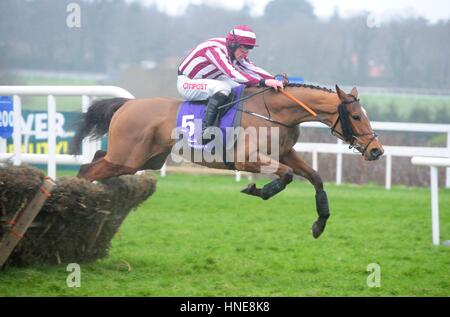 Mega Fortune cavalcato da Davy Russell andare a vincere la molla il novellame di ostacolo durante la Stan James Irish Gold Cup giorno a Leopardstown Racecourse, Dublino. Foto Stock