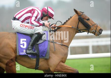 Mega Fortune cavalcato da Davy Russell andare a vincere la molla il novellame di ostacolo durante la Stan James Irish Gold Cup giorno a Leopardstown Racecourse, Dublino. Foto Stock