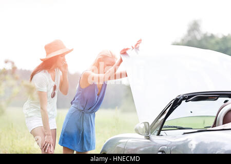 Amici esaminando ripartiti in auto sulla giornata di sole Foto Stock