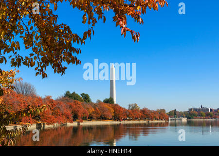 Il Monumento a Washington dal bacino di marea in autunno, West Potomac Park, Washington DC, Stati Uniti d'America Foto Stock