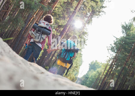 Vista posteriore di escursionismo coppia tenendo le mani mentre passeggiate in foresta Foto Stock