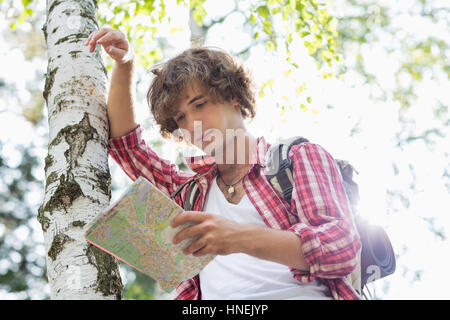 Maschio lettura backpacker mappa mentre appoggiata sul tronco di albero nella foresta Foto Stock