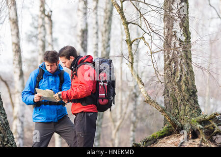 Backpackers maschio mappa di lettura nella foresta Foto Stock