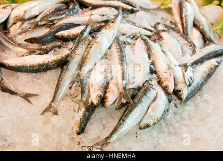Close-up di pesce fresco in ghiaccio al mercato Foto Stock