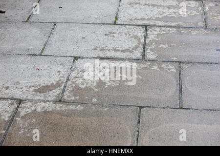 Passerella in cemento con acqua patch Foto Stock