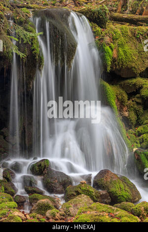 Cascata in Bärenschützklamm, Mixnitz, Stiria, Austria Foto Stock