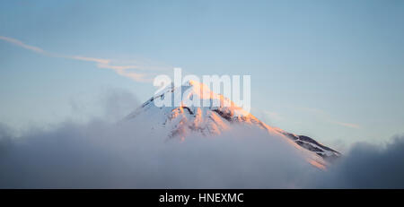 Uno stratovulcano Mount Taranaki o Mount Egmont al tramonto, picco sopra le nuvole, Egmont National Park, Taranaki, Nuova Zelanda Foto Stock