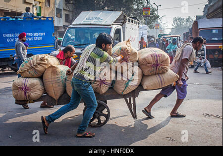Gli uomini al lavoro, lavoro, lavoratore, dei lavoratori, dei vettori di distribuire la merce nel mercato, Chandni Chowk, Vecchia Delhi, India Foto Stock