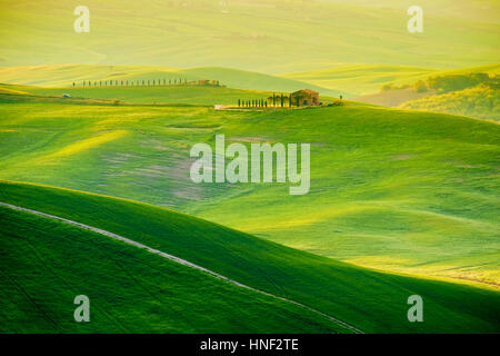 Onde, colline ondulate colline, paesaggio minimalista con campi verdi in Toscana. Italia Foto Stock