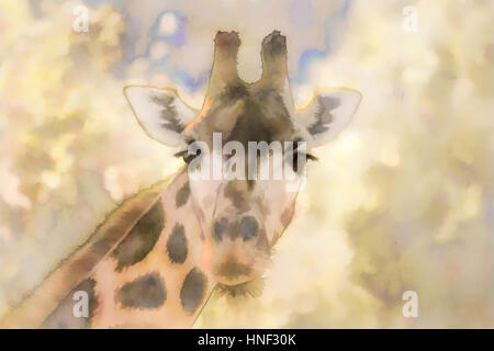 Acquerello animale, giraffe ritratto Foto Stock