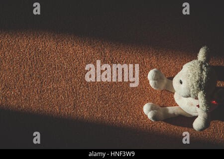 Immagine nostalgica di insaccati giocattolo bianco colpito dalla luce del sole Foto Stock