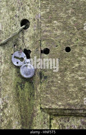 Che cosa si nasconde dietro la porta Vecchia? Foto Stock